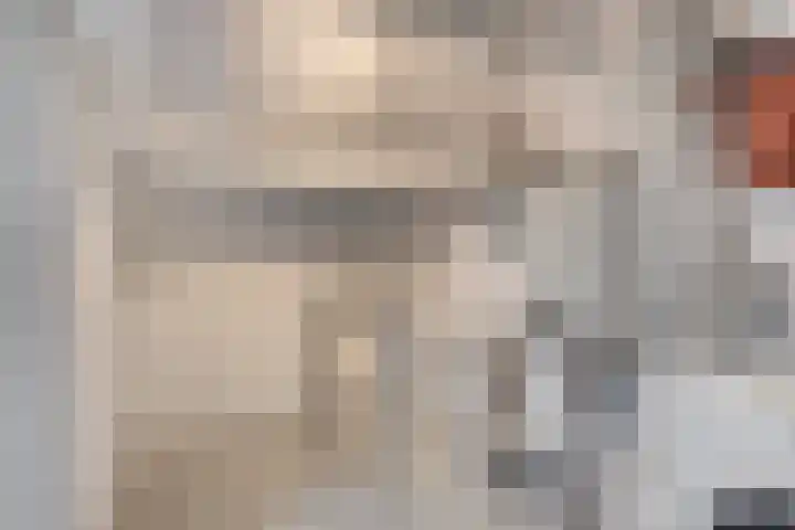 Agamemnonlaan 10 Eindhoven thumbnail 24