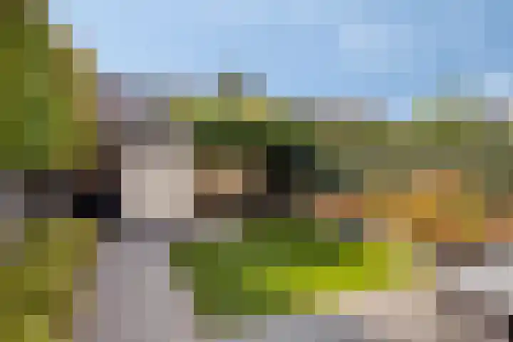 Agamemnonlaan 10 Eindhoven thumbnail 27