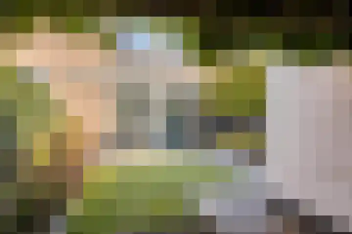 Agamemnonlaan 10 Eindhoven thumbnail 29