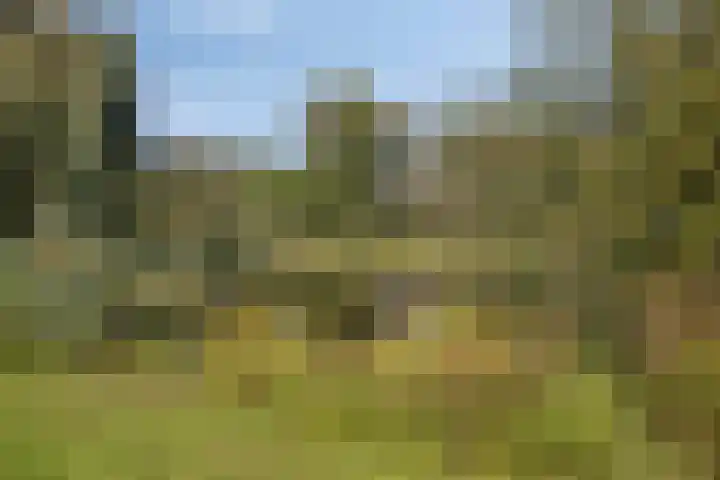 Agamemnonlaan 10 Eindhoven thumbnail 31