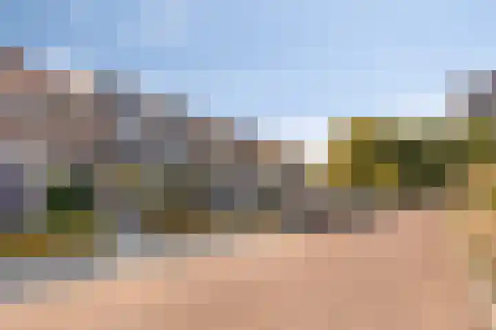 Agamemnonlaan 10 Eindhoven thumbnail 34
