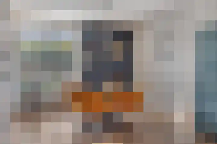 Agamemnonlaan 10 Eindhoven thumbnail 8