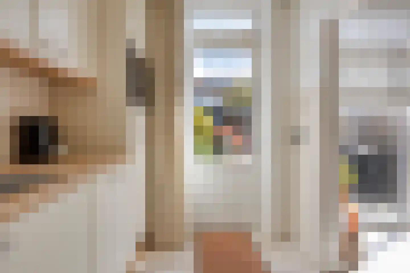 Agamemnonlaan 14 Eindhoven thumbnail 18
