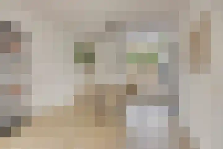Agamemnonlaan 21 Eindhoven thumbnail 10