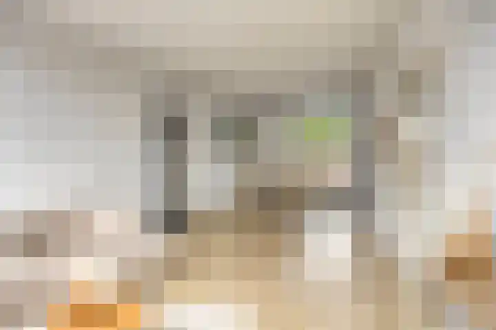 Agamemnonlaan 21 Eindhoven thumbnail 11