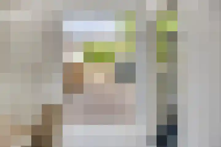 Agamemnonlaan 21 Eindhoven thumbnail 12