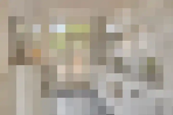 Agamemnonlaan 21 Eindhoven thumbnail 13