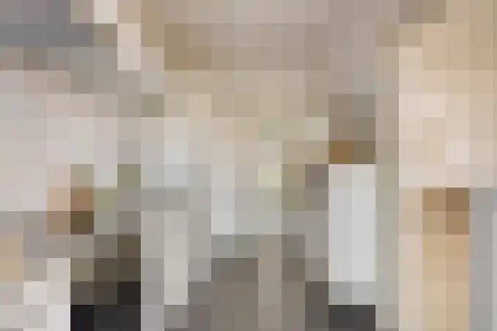 Agamemnonlaan 21 Eindhoven thumbnail 14