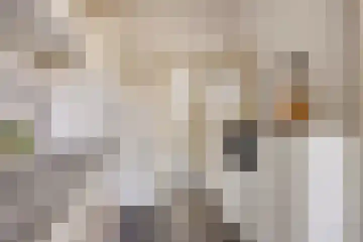 Agamemnonlaan 21 Eindhoven thumbnail 15