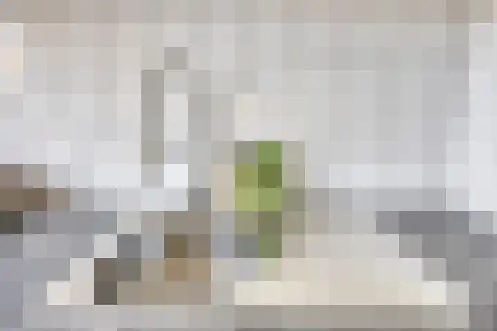 Agamemnonlaan 21 Eindhoven thumbnail 16
