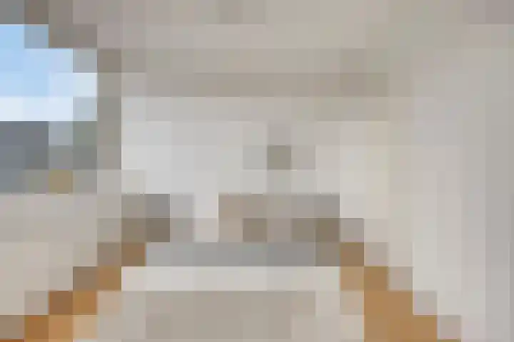 Agamemnonlaan 21 Eindhoven thumbnail 21