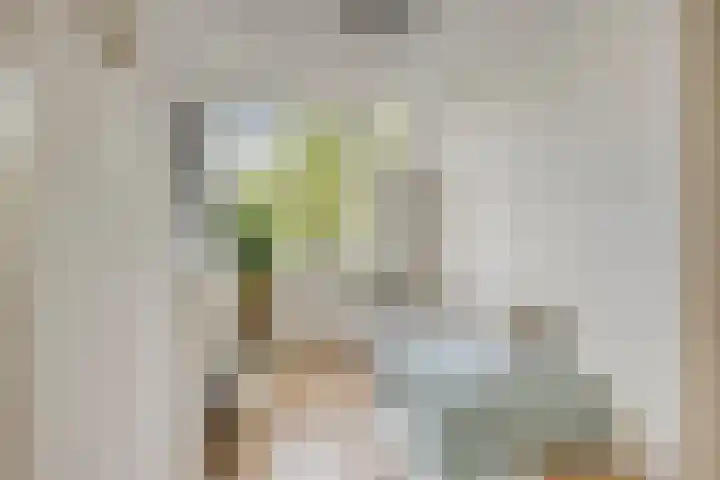 Agamemnonlaan 21 Eindhoven thumbnail 23