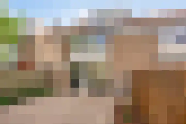 Agamemnonlaan 21 Eindhoven thumbnail 28