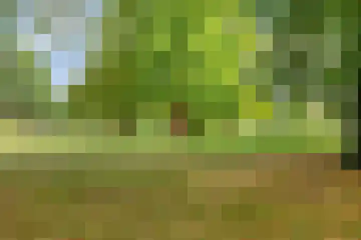 Agamemnonlaan 21 Eindhoven thumbnail 33