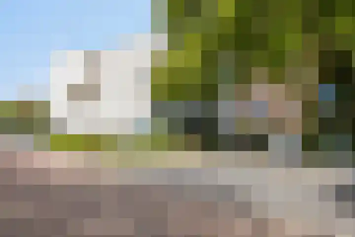 Agamemnonlaan 21 Eindhoven thumbnail 35