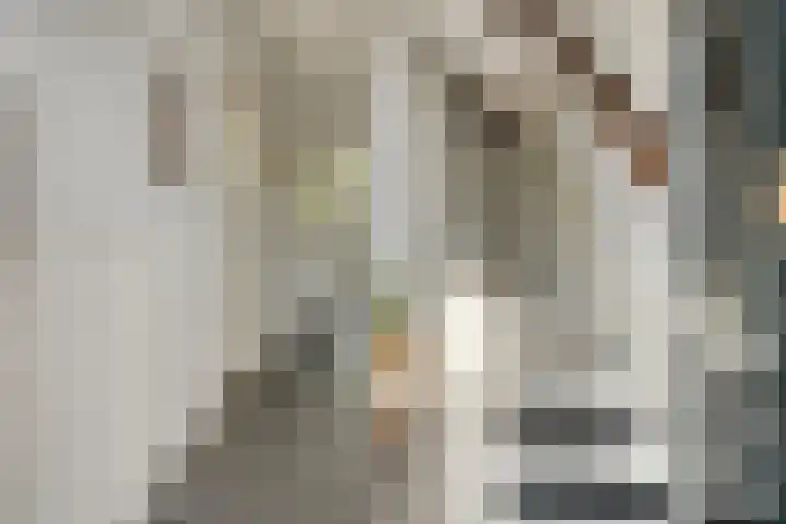 Agamemnonlaan 21 Eindhoven thumbnail 7