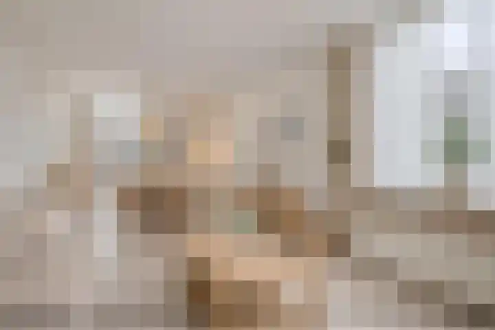 Agamemnonlaan 33 Eindhoven thumbnail 11
