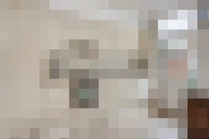 Agamemnonlaan 33 Eindhoven thumbnail 14