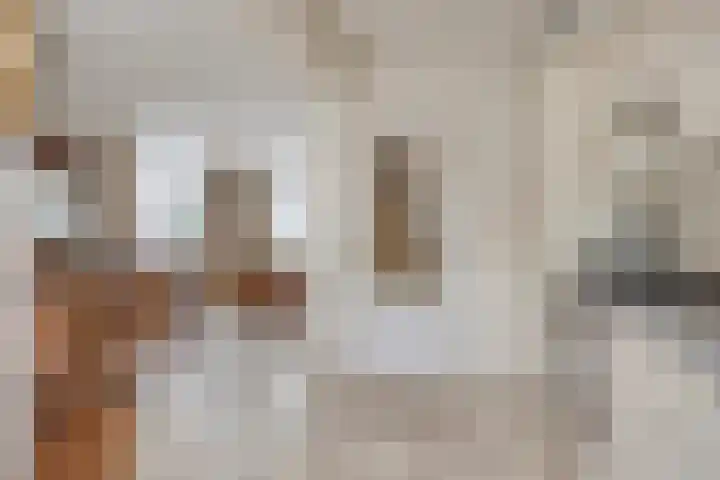 Agamemnonlaan 33 Eindhoven thumbnail 16