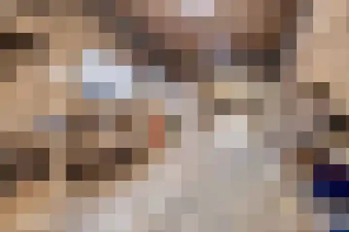 Agamemnonlaan 33 Eindhoven thumbnail 34