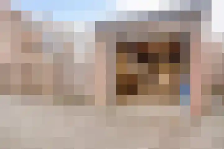 Agamemnonlaan 33 Eindhoven thumbnail 35