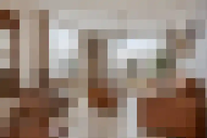 Agamemnonlaan 33 Eindhoven thumbnail 8
