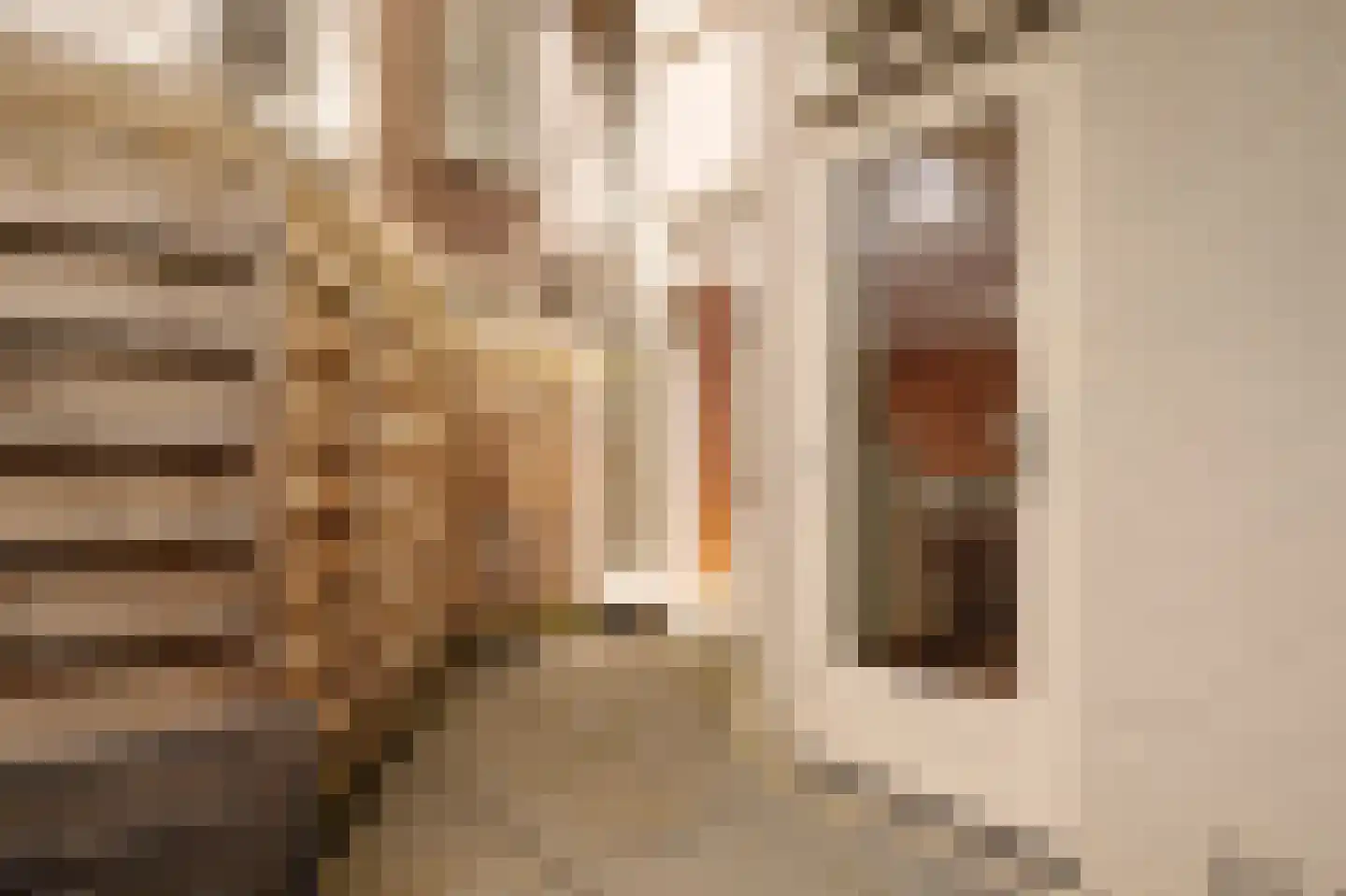 Agamemnonstraat 10 H Amsterdam thumbnail 11