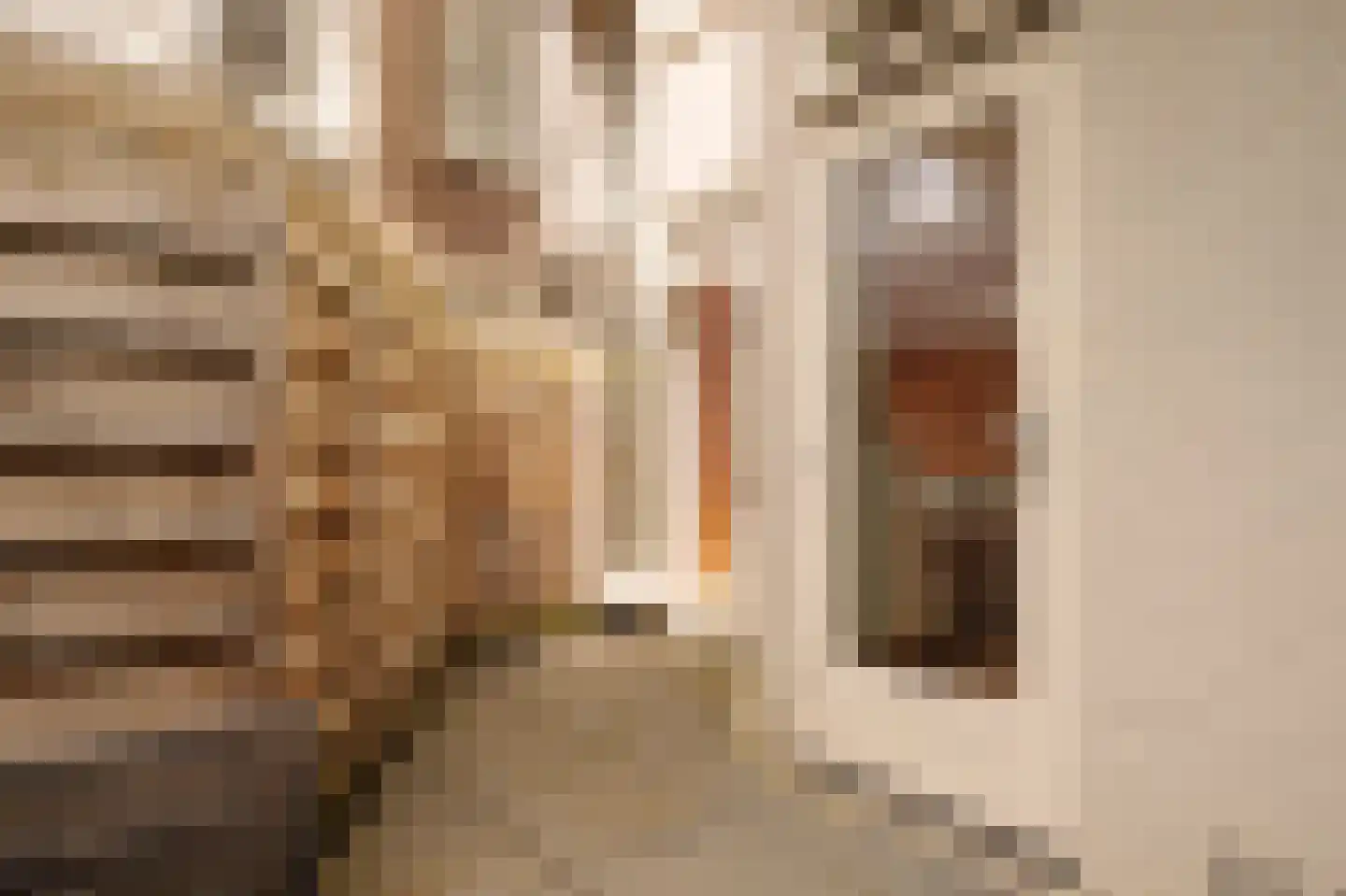 Agamemnonstraat 10 H Amsterdam thumbnail 11