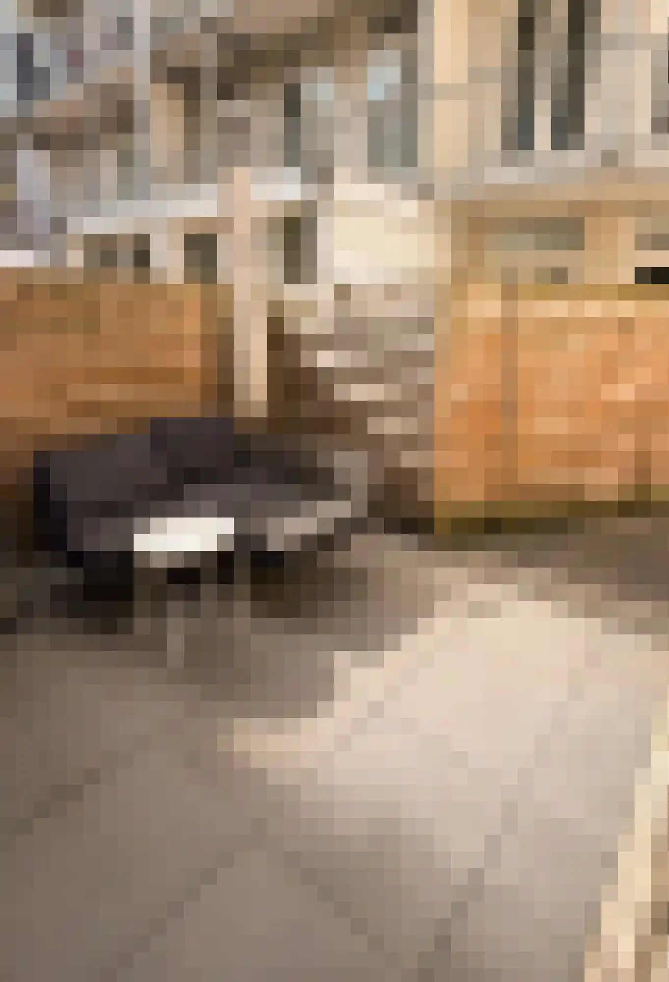 Agamemnonstraat 10 H Amsterdam thumbnail 13