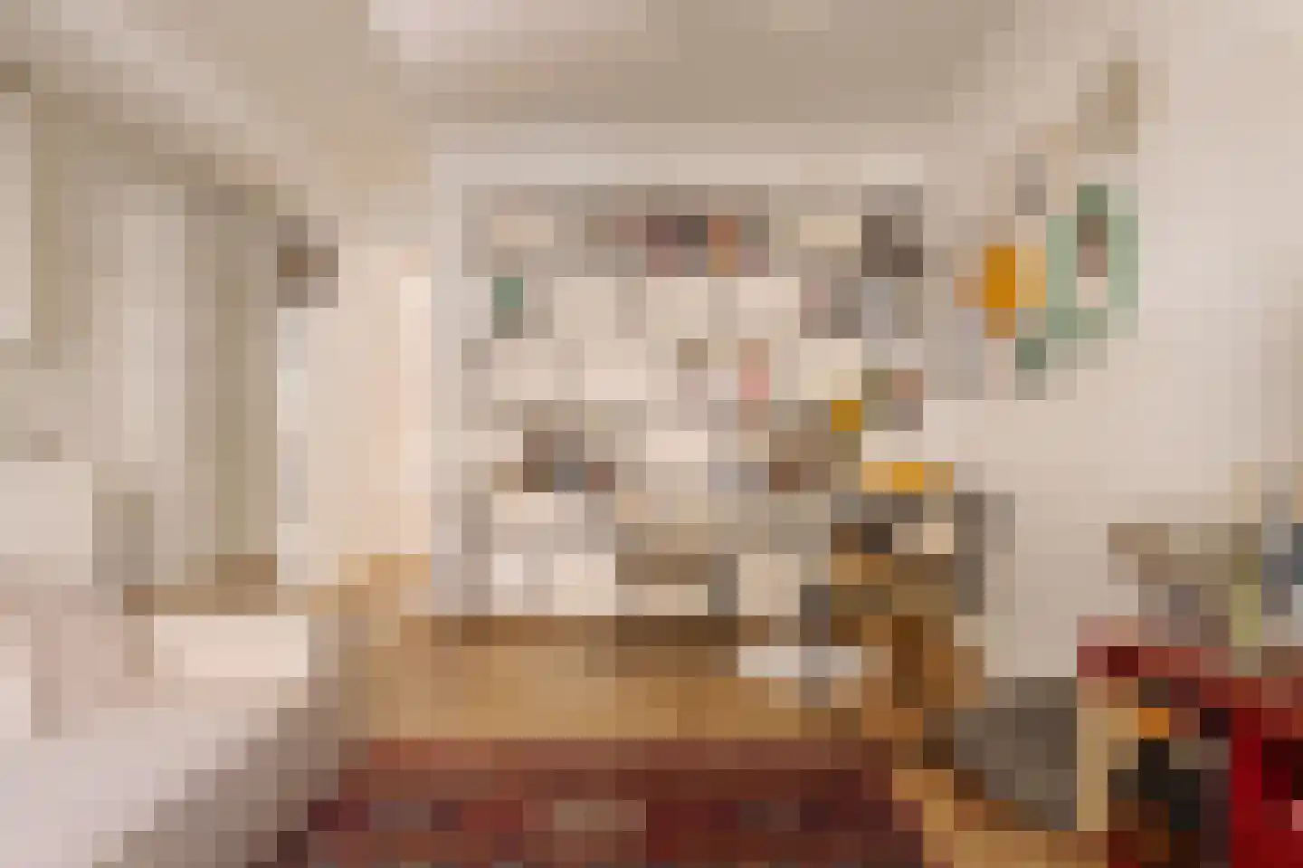 Agamemnonstraat 10 H Amsterdam thumbnail 7