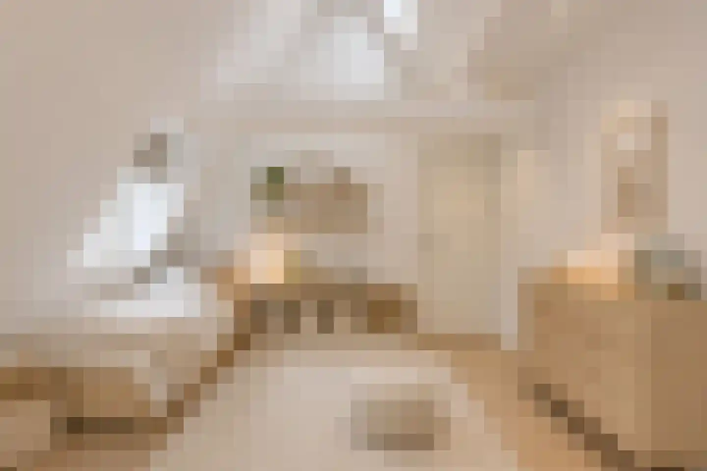 Agamemnonstraat 13 2 Amsterdam thumbnail 13