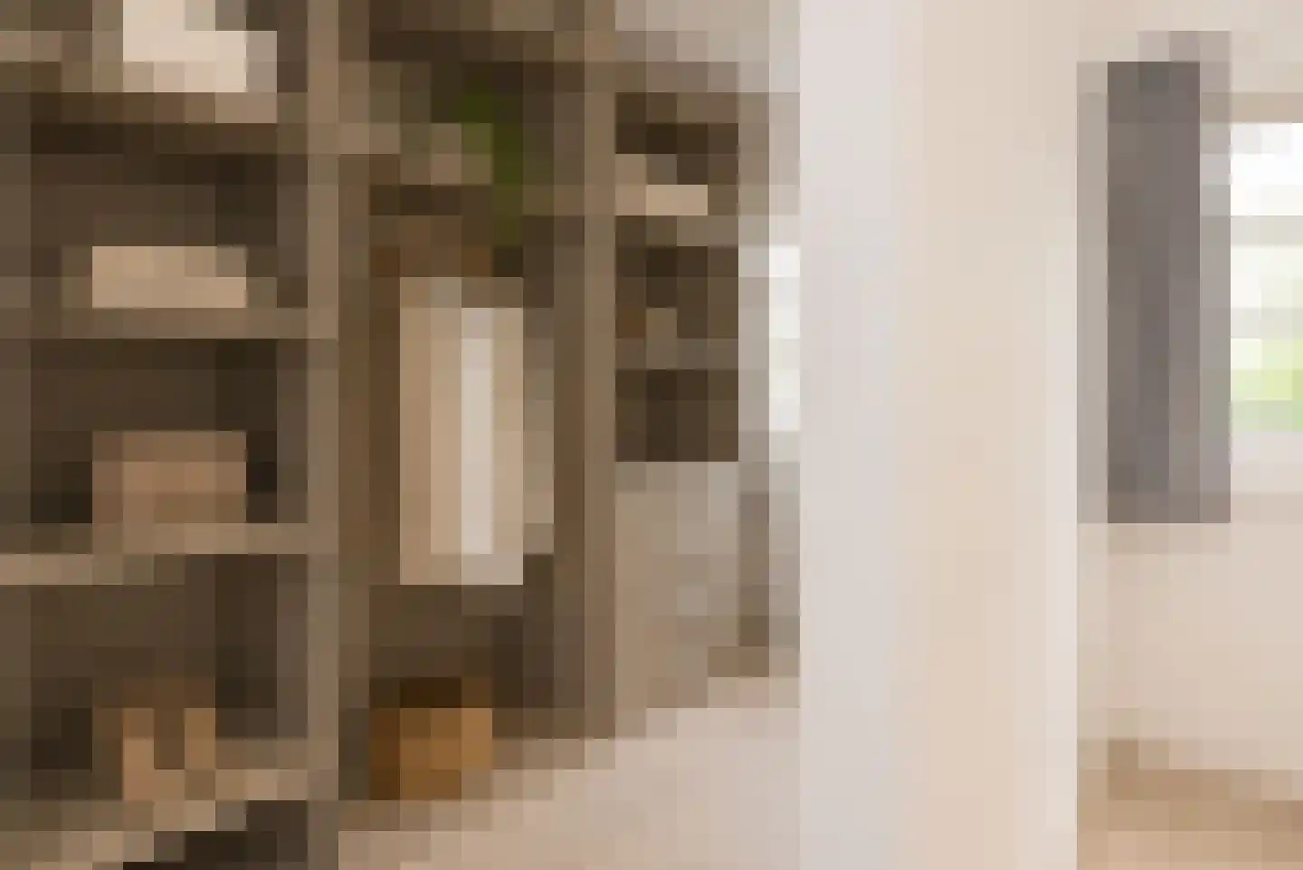 Agamemnonstraat 13 2 Amsterdam thumbnail 15