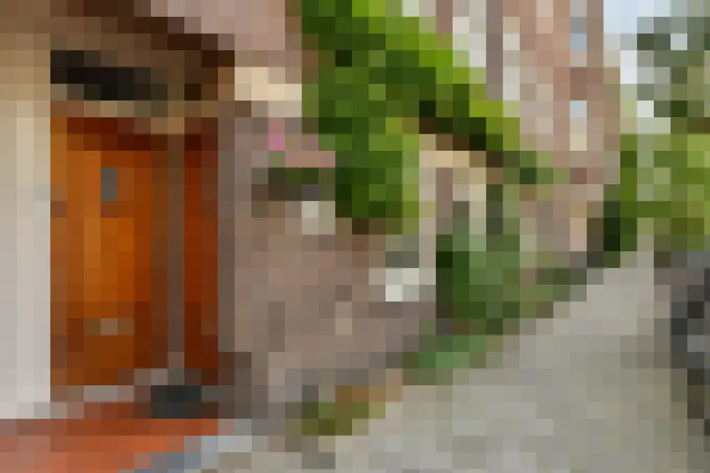 Agamemnonstraat 13 2 Amsterdam thumbnail 5