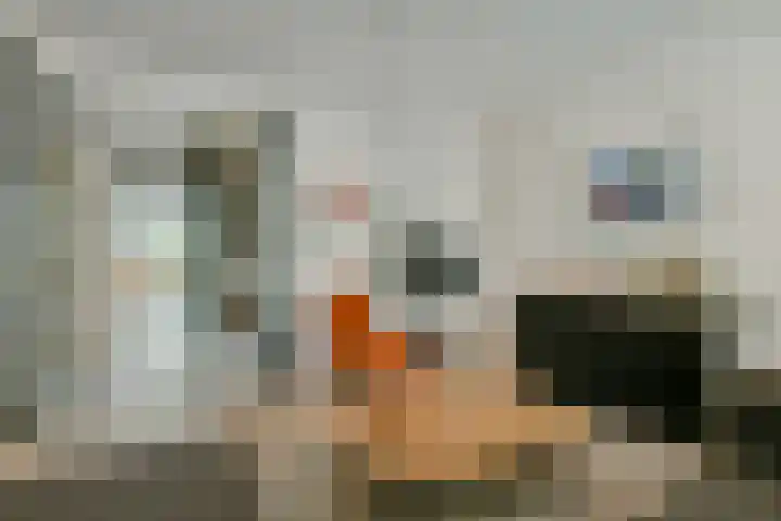 Agamemnonstraat 13 H Amsterdam thumbnail 7