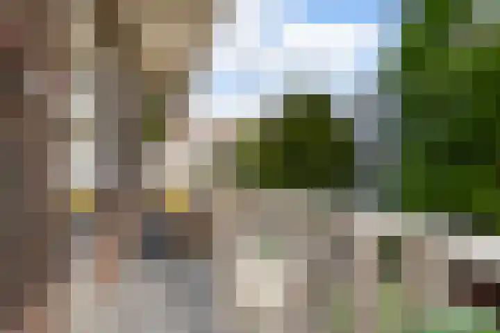 Agamemnonstraat 19 2 Amsterdam thumbnail 9