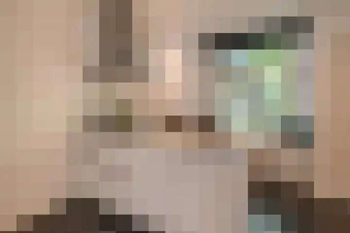 Agamemnonstraat 29 2 Amsterdam thumbnail 10