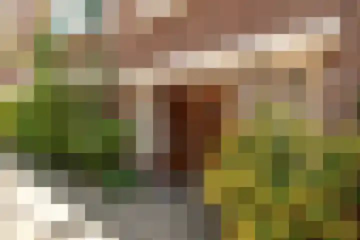 Agamemnonstraat 29 2 Amsterdam thumbnail 21