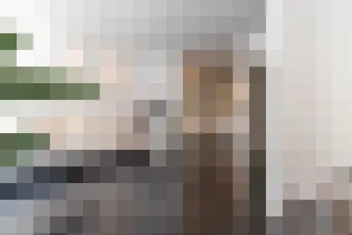 Agamemnonstraat 29 2 Amsterdam thumbnail 28
