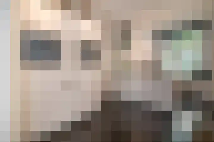 Agamemnonstraat 29 2 Amsterdam thumbnail 9