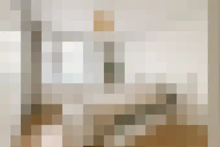 Agamemnonstraat 33 2 Amsterdam thumbnail 15