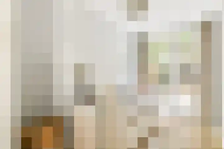 Agamemnonstraat 33 2 Amsterdam thumbnail 18