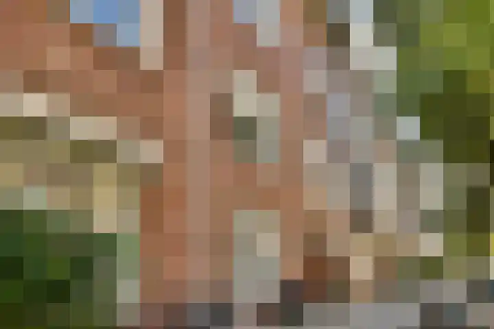 Agamemnonstraat 33 2 Amsterdam thumbnail 27