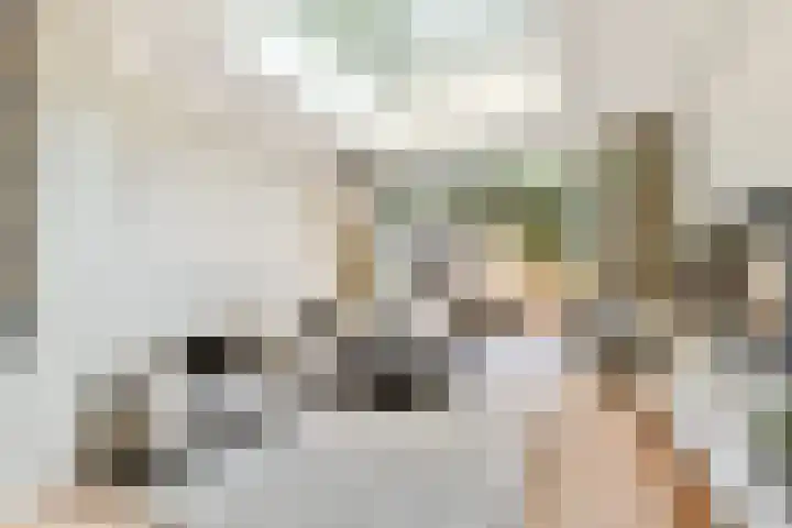 Agamemnonstraat 33 2 Amsterdam thumbnail 4