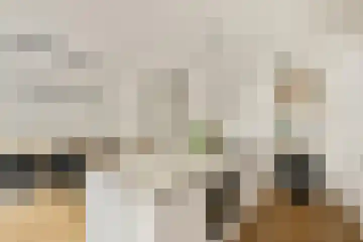 Agamemnonstraat 33 2 Amsterdam thumbnail 6