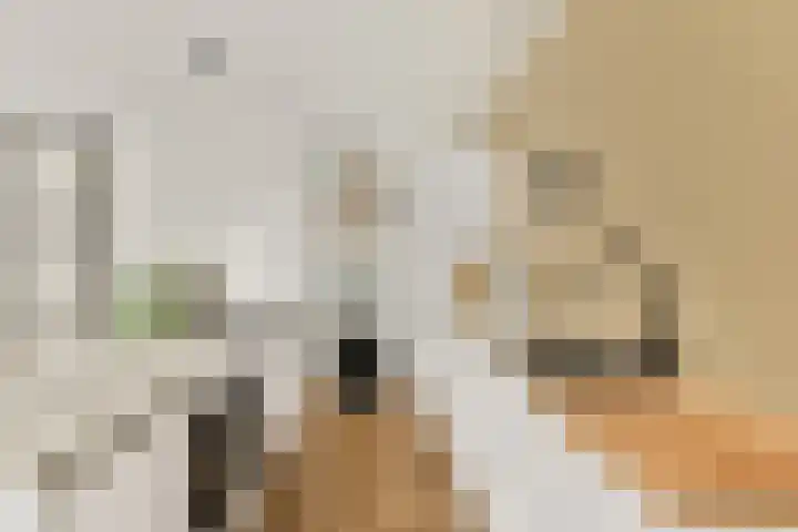 Agamemnonstraat 33 2 Amsterdam thumbnail 7