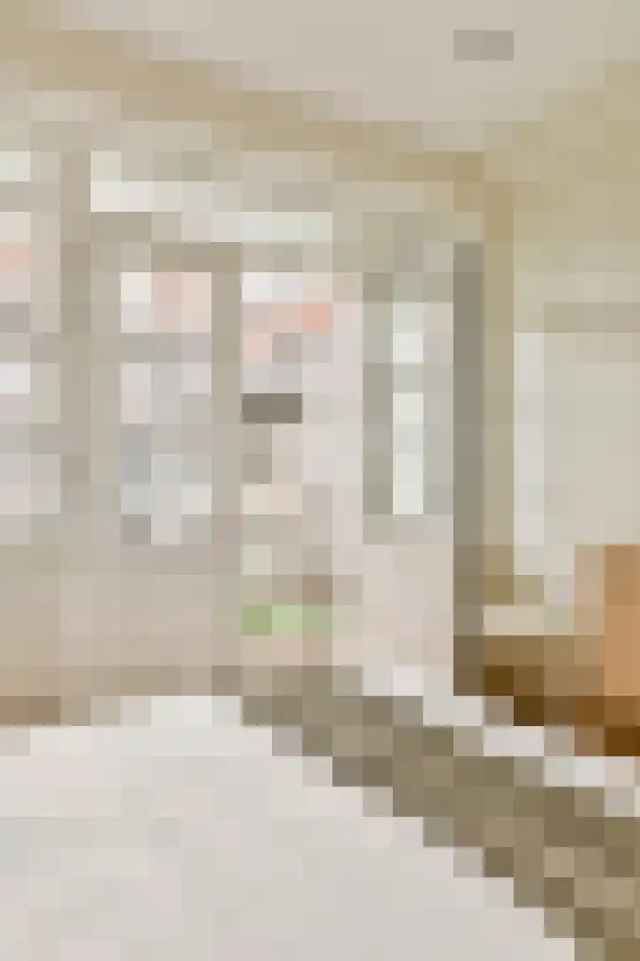 Agamemnonstraat 34 2 Amsterdam thumbnail 10