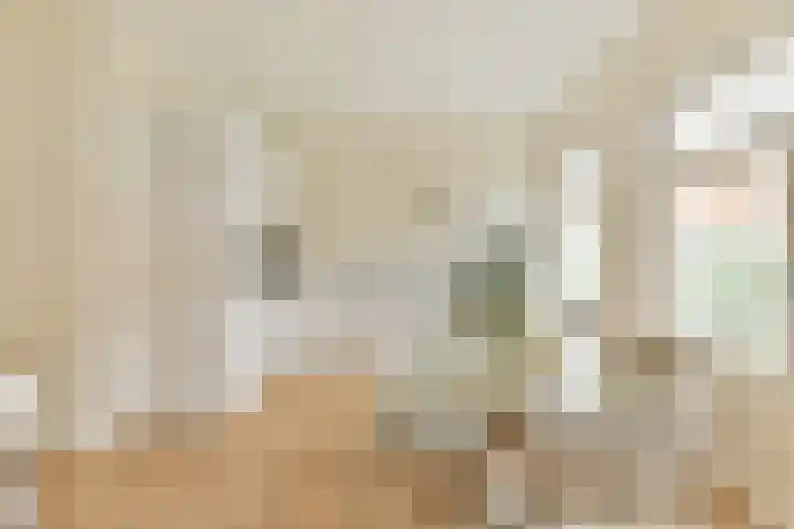 Agamemnonstraat 34 2 Amsterdam thumbnail 4