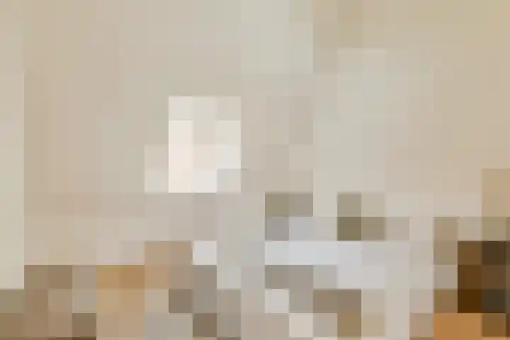 Agamemnonstraat 34 3 Amsterdam thumbnail 7