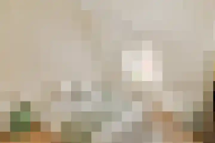 Agamemnonstraat 34 3 Amsterdam thumbnail 9