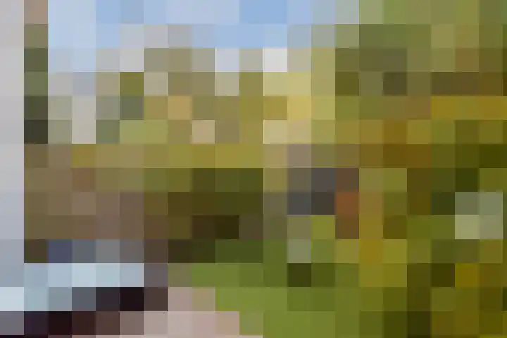 Agamemnonstraat 34 H Amsterdam thumbnail 8